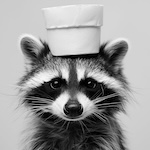 Raccacoonie